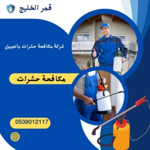 شركة مكافحة حشرات بالاحساء