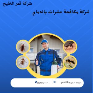 شركة مكافحة حشرات بالدمام